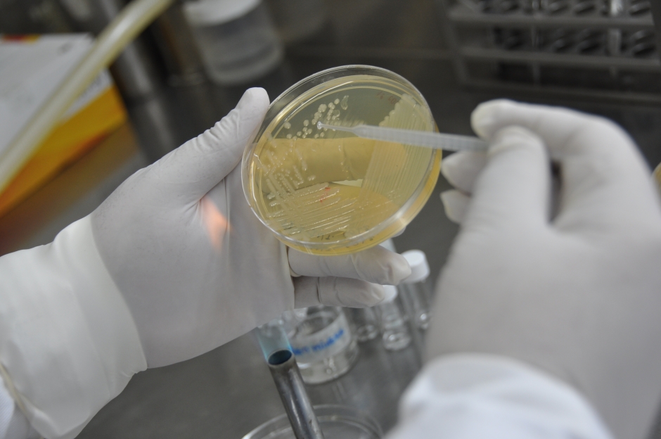 Ambiente de laboratório veterinário, referência à pesquisa em saúde das aves