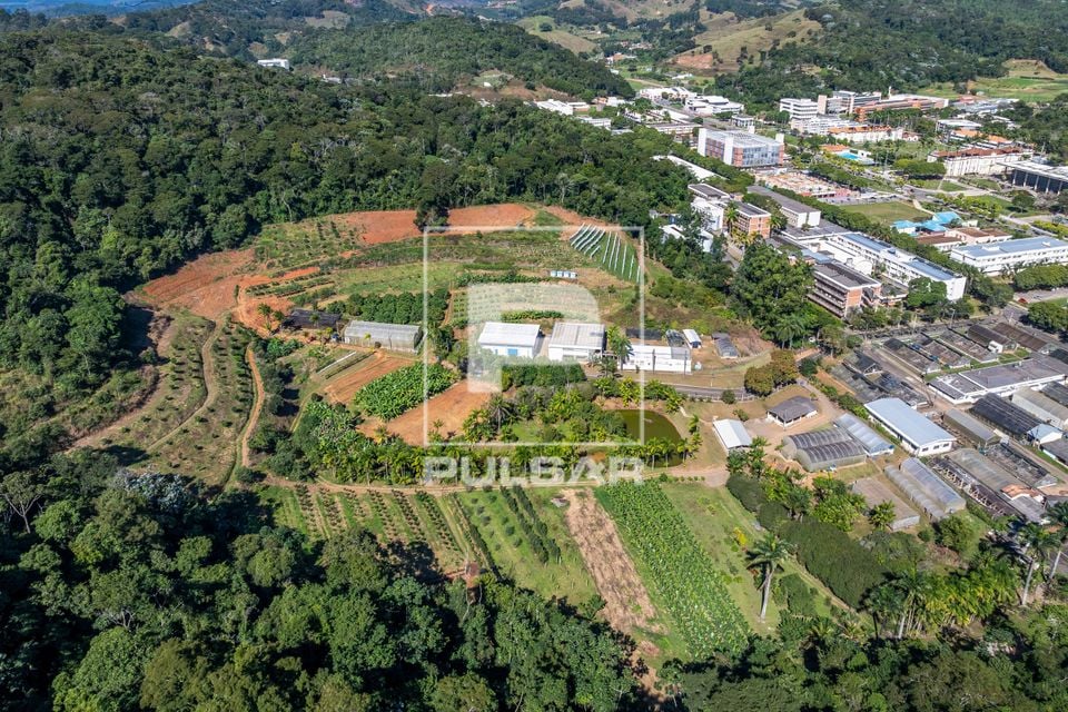 Campus da UFV em Viçosa MG