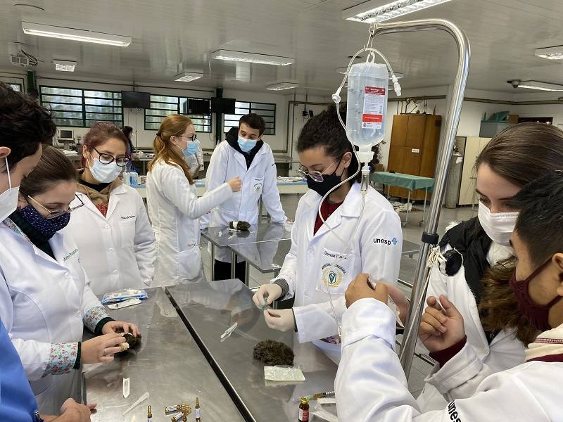 Atividades práticas em ambiente de ensino veterinário