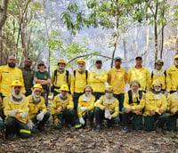 Brigadistas do Prevfogo em ação de manejo integrado do fogo em área de Cerrado.