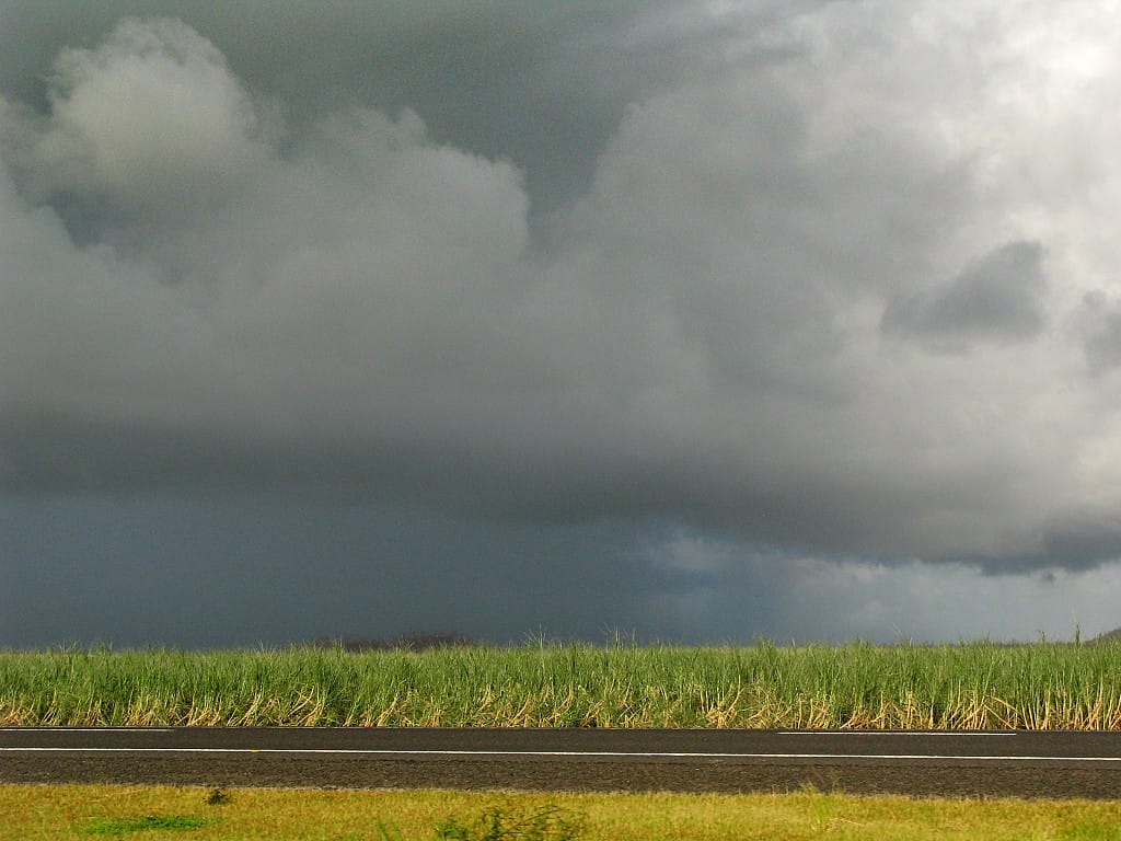 Pôr do sol sobre canaviais no interior paulista