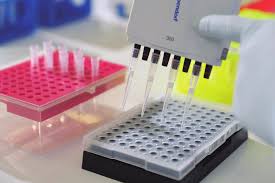 Bancada com instrumentos de laboratório e etiquetas de evidência
