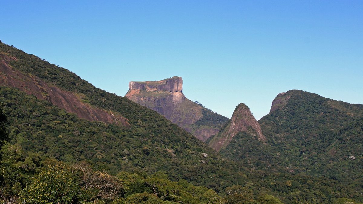 Parque Nacional da Tijuca no Rio de Janeiro
