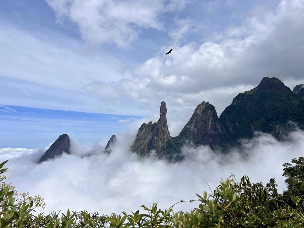 Trilha na Mata Atlântica com picos de granito ao fundo, no Parnaso