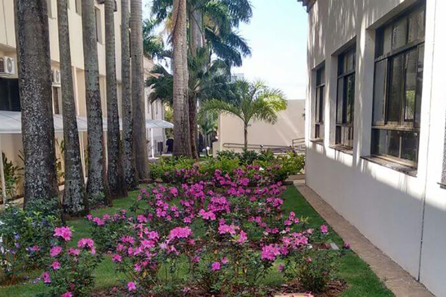Vista de um jardim com flores e palmeiras ao lado de um prédio, representando uma cidade do interior paulista com vocação para turismo e bem-estar