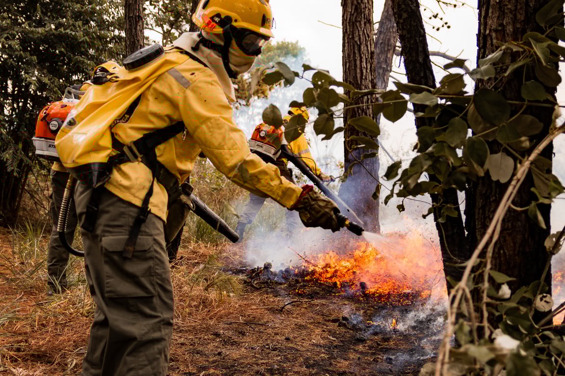 Brigadistas florestais atuando no bioma Caatinga, com equipamentos de combate a incêndios