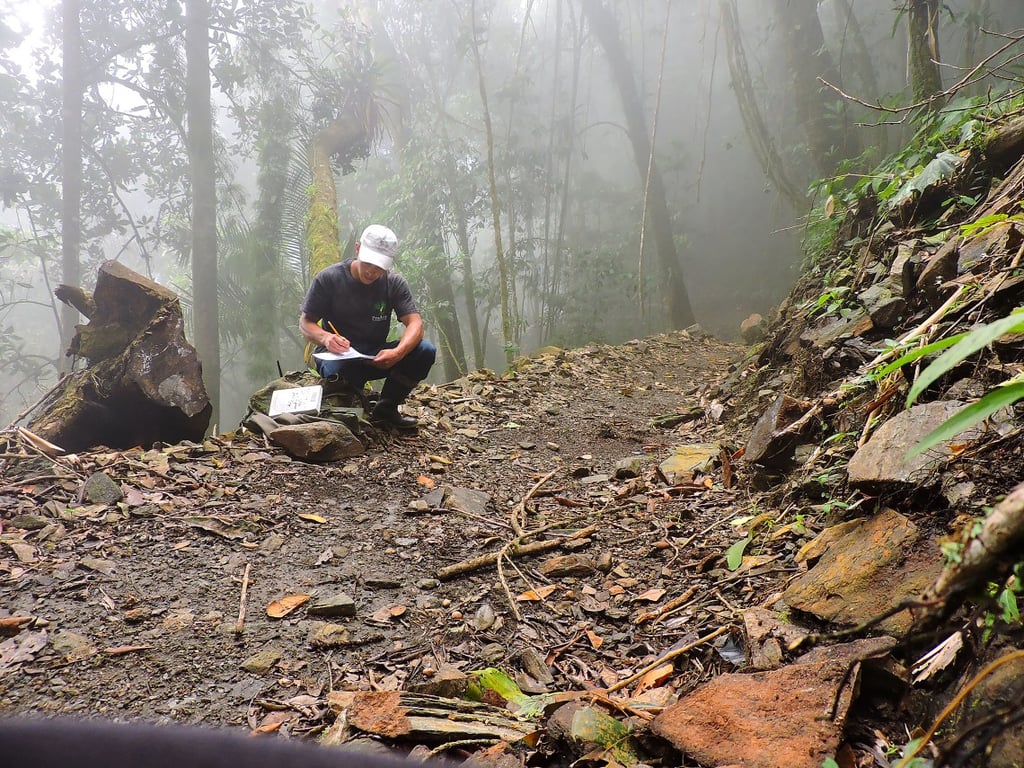 Agente ambiental em patrulha de campo, anotando dados em trilha florestal