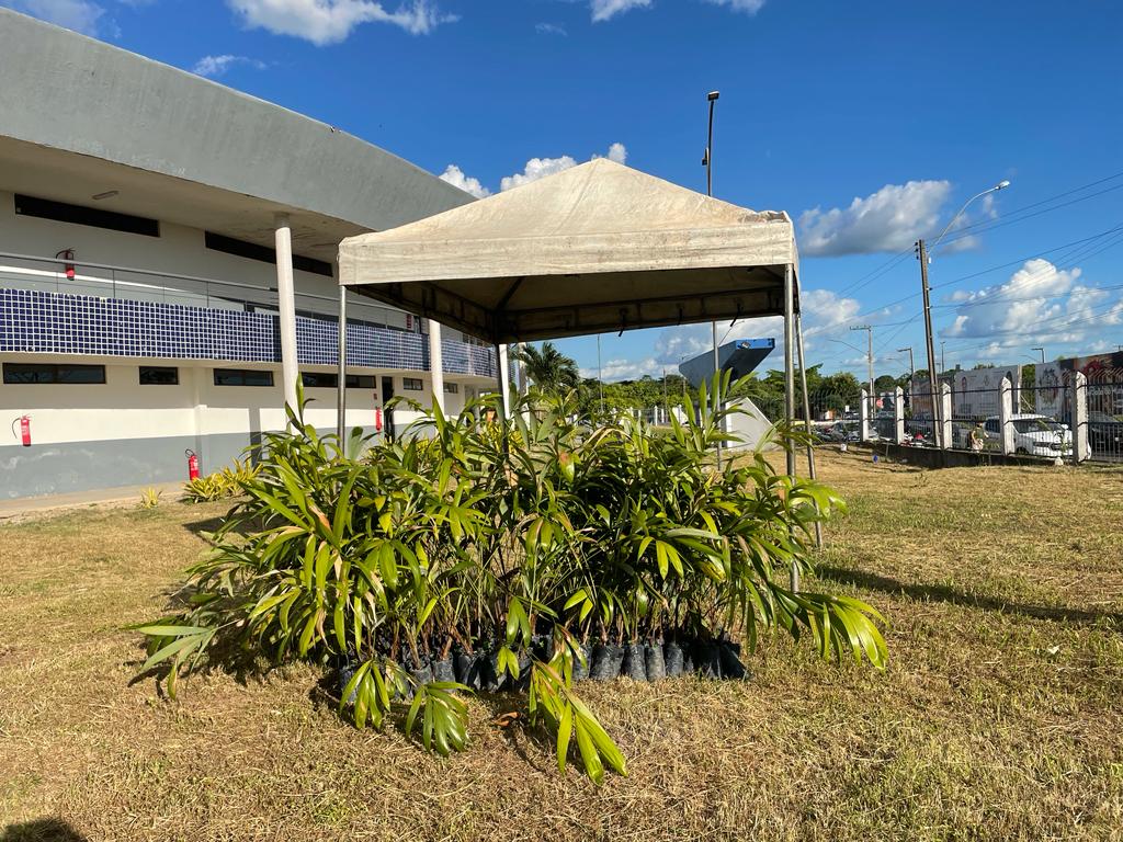 Fachada da UEMA com vegetação e céu azul