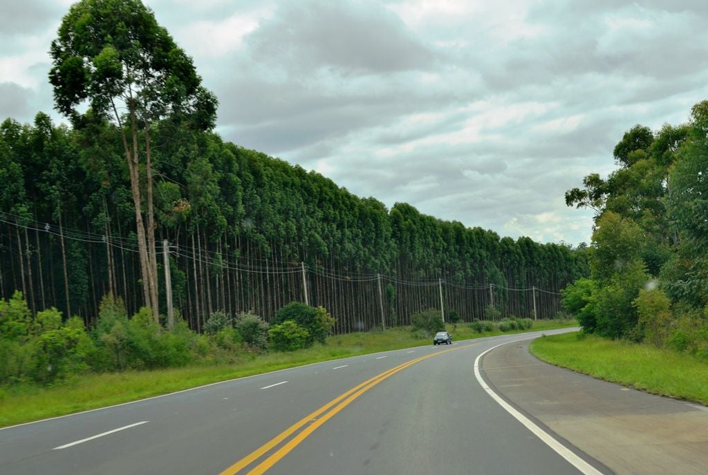 Paisagem urbana de Cotia (SP) com áreas verdes à margem de via arterial