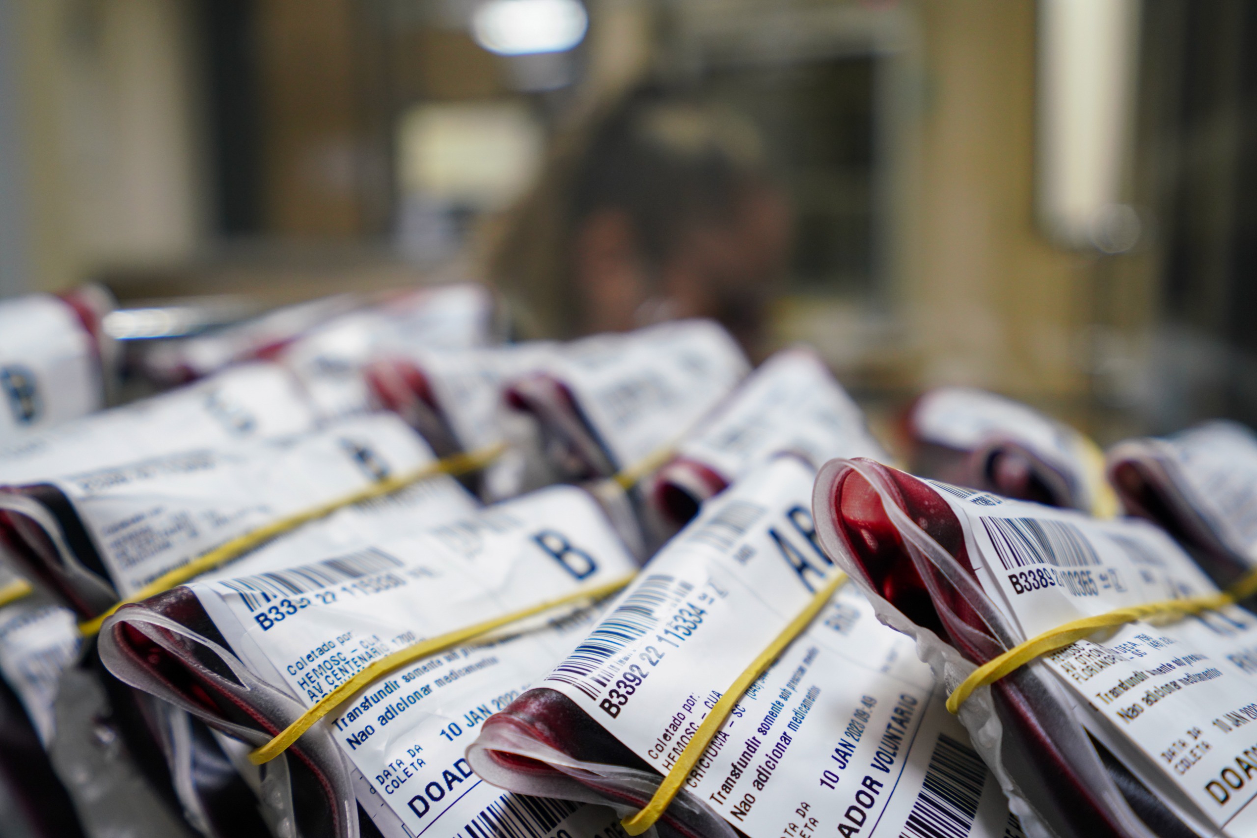 Bolsas de sangue em ambiente hospitalar, simbolizando o trabalho hemoterápico
