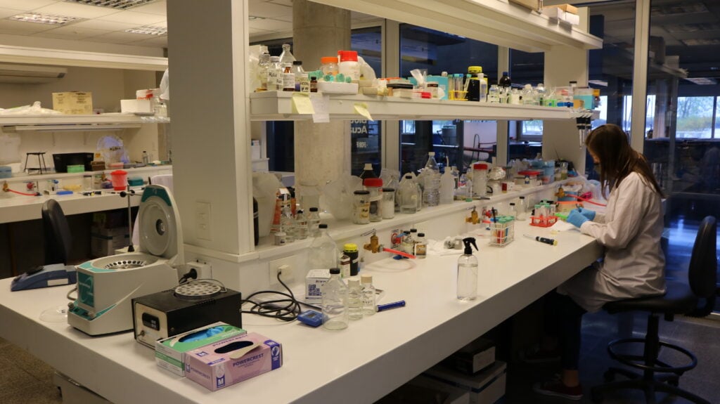 Laboratório universitário de aquicultura, com bancadas, amostras e equipamentos de análise.