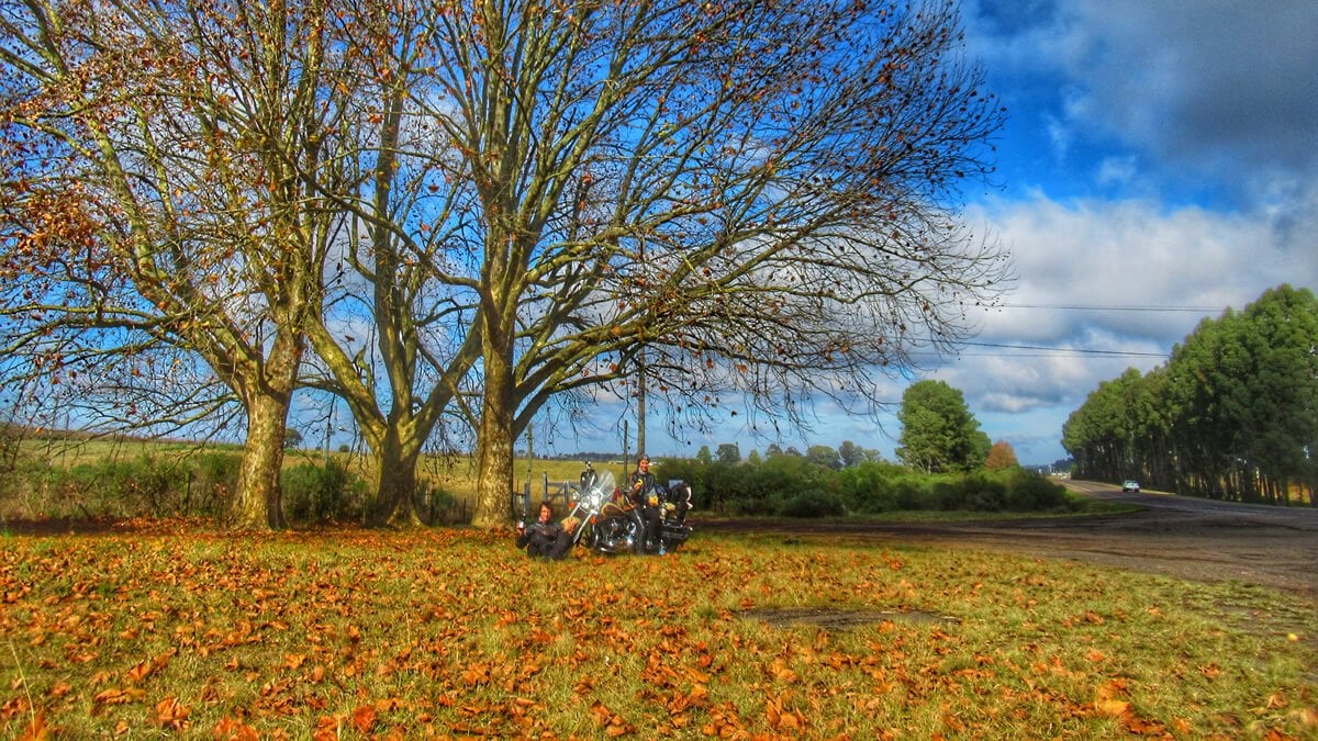 Estrada rural no norte gaúcho, com lavouras e colinas ao fundo, sob céu azul