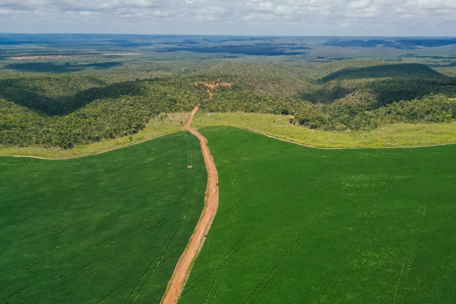 Paisagem rural do norte do Piauí, com estrada vicinal entre vegetação típica do semiárido