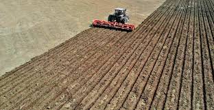 Panorama agrícola de região do interior gaúcho, com lavouras e luz de fim de tarde, composição horizontal