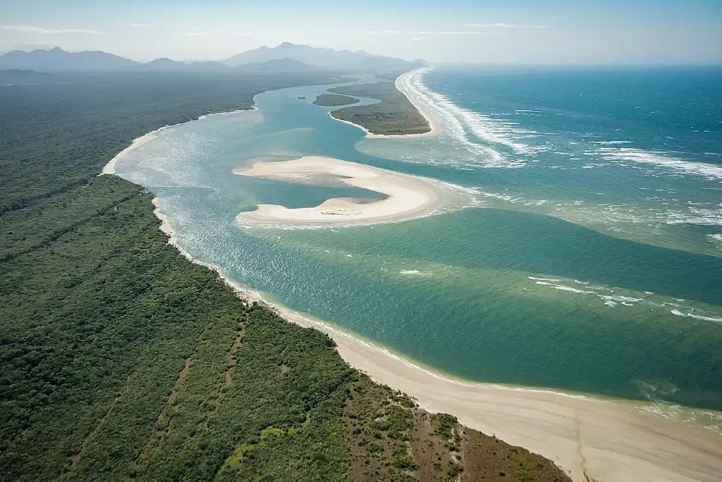 Manguezais e baías no litoral do Paraná