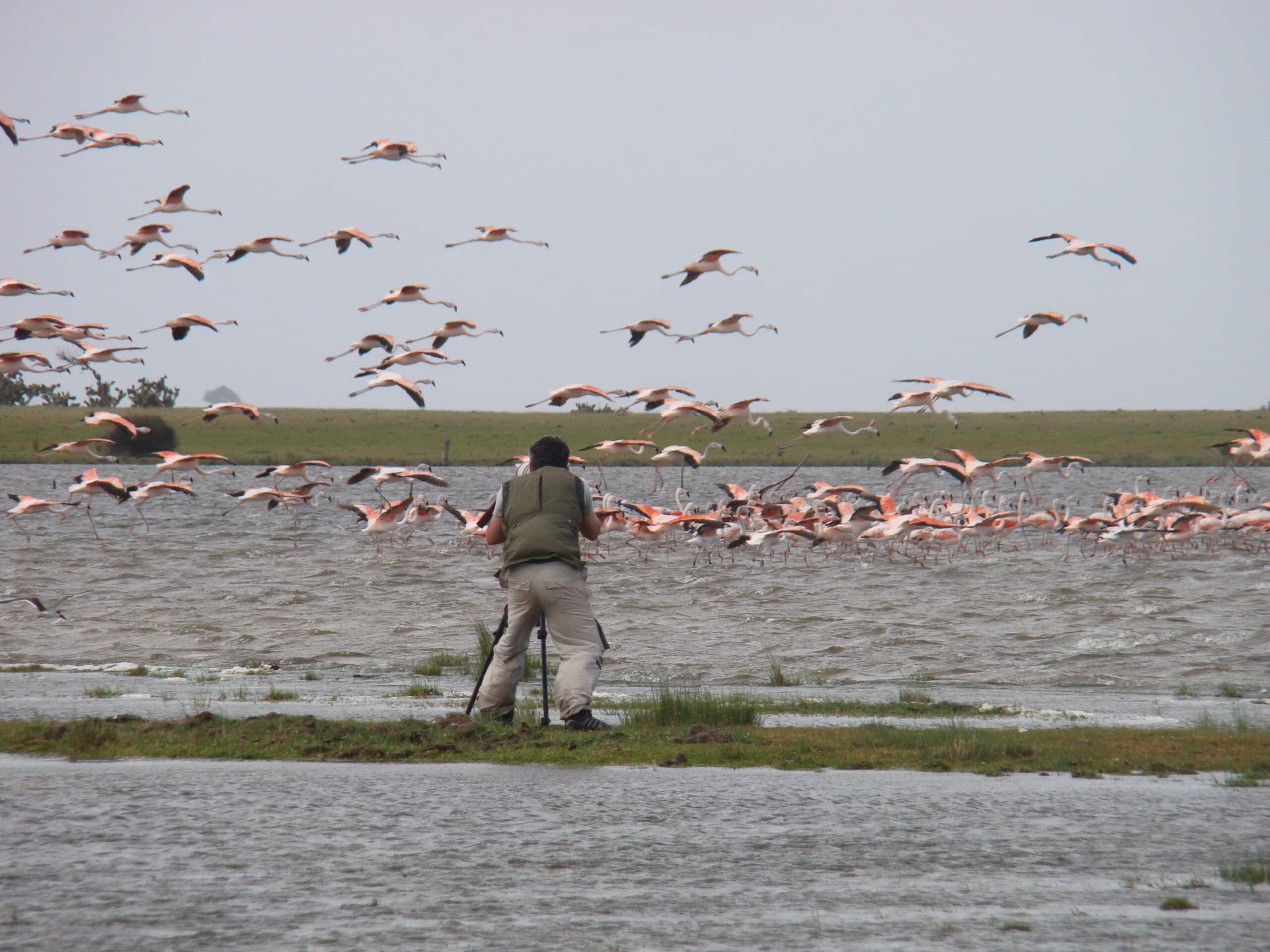 Parque Nacional da Lagoa do Peixe, com lagoas costeiras e aves migratórias em dia claro