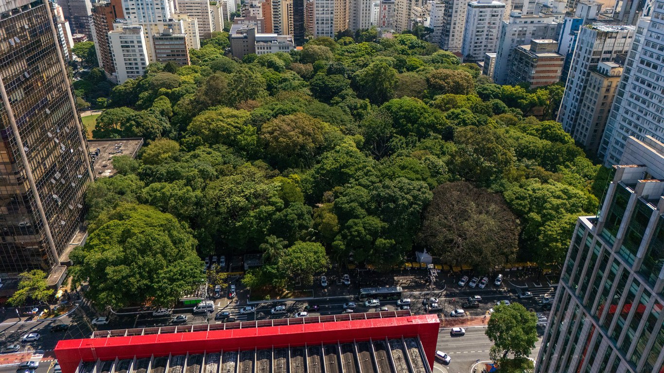 Skyline de São Paulo com a região da Avenida Paulista ao entardecer