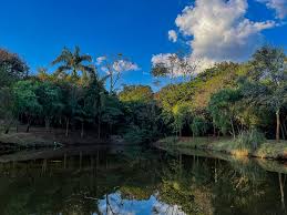 Belo Horizonte ao pôr do sol, com a Serra do Curral ao fundo