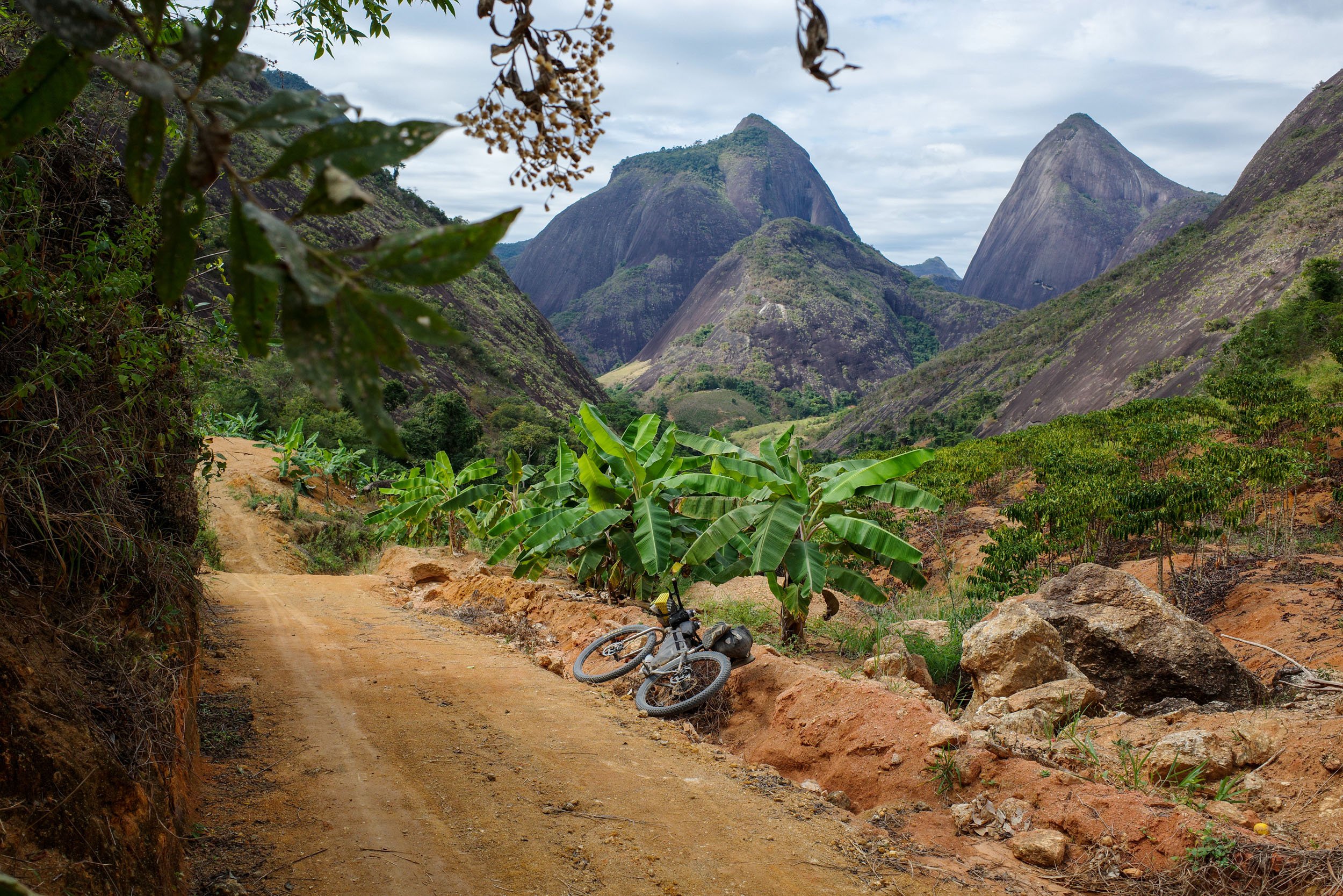 Estrada cercada por Mata Atlântica de tabuleiro no norte do ES