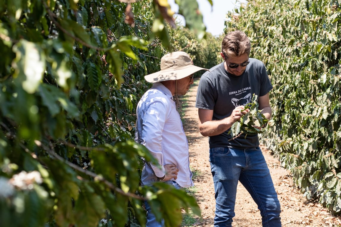 Profissionais analisando folhas em lavoura
