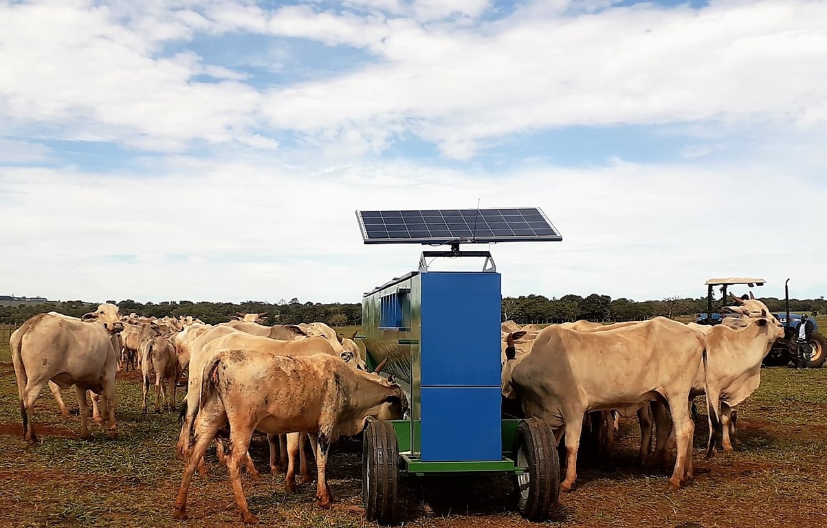 Pesquisa de campo em Zootecnia