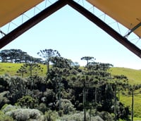 Estrada rural com araucárias sob céu de serra em Campos de Cima da Serra