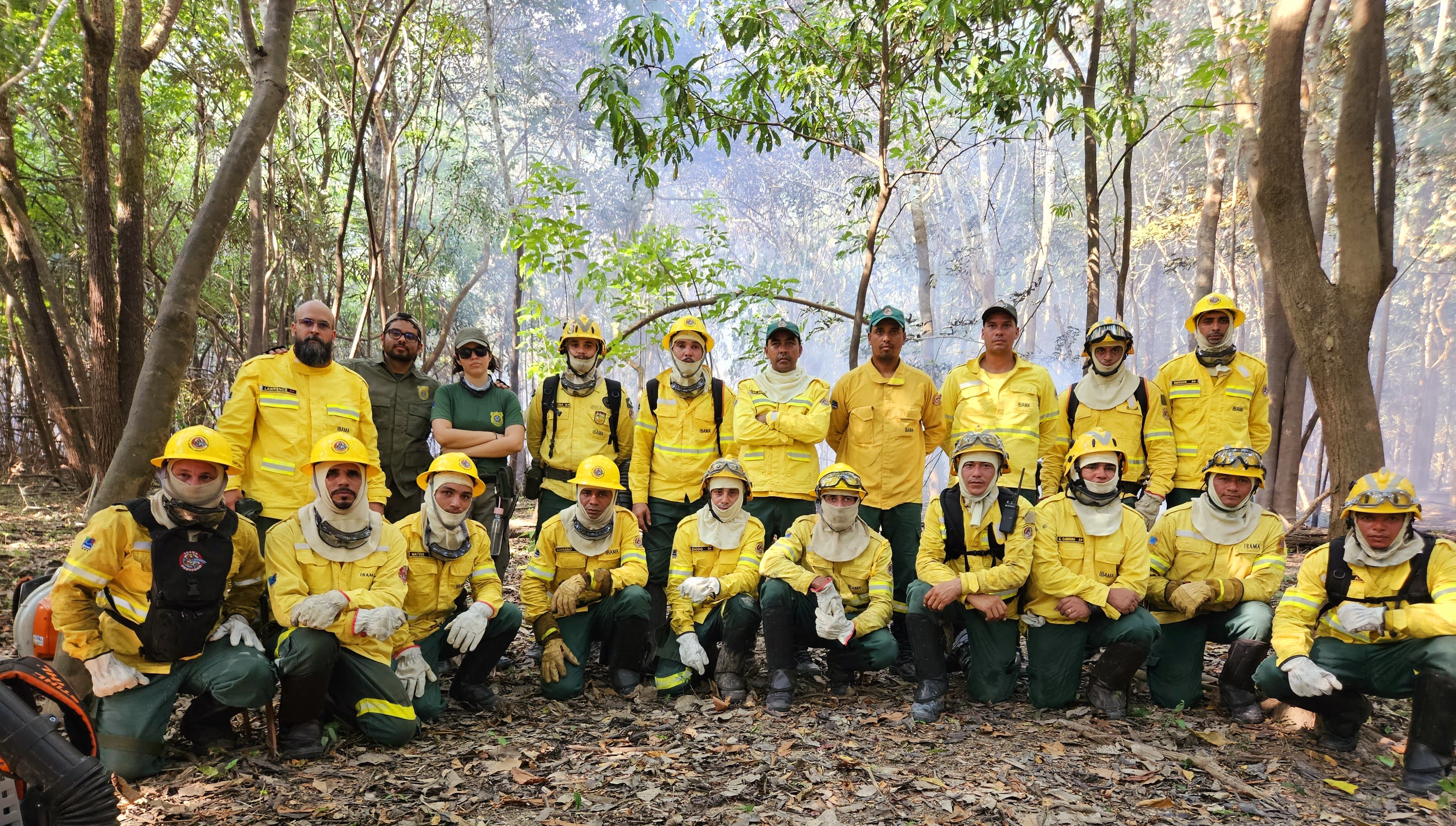 Brigadistas combatendo incêndio florestal em vegetação de Caatinga/Cerrado, com fumaça ao fundo