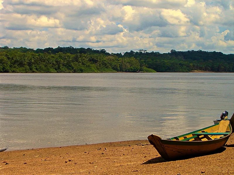 Cenário amazônico no Amapá