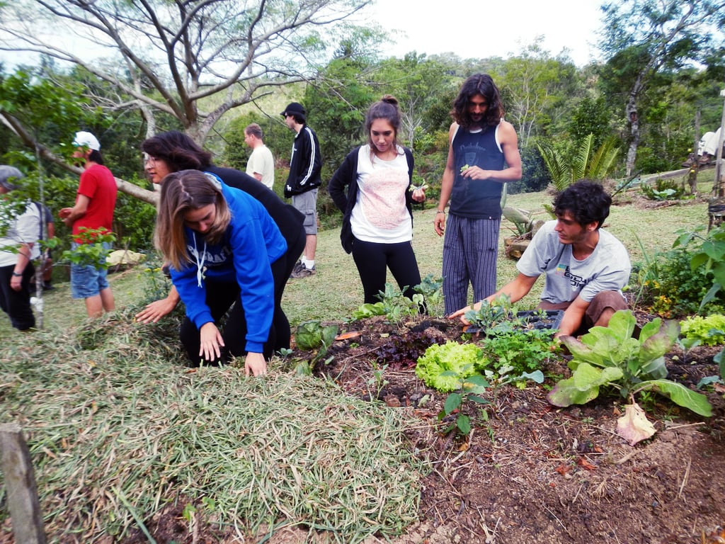 Profissional de assistência técnica orientando produtores no campo