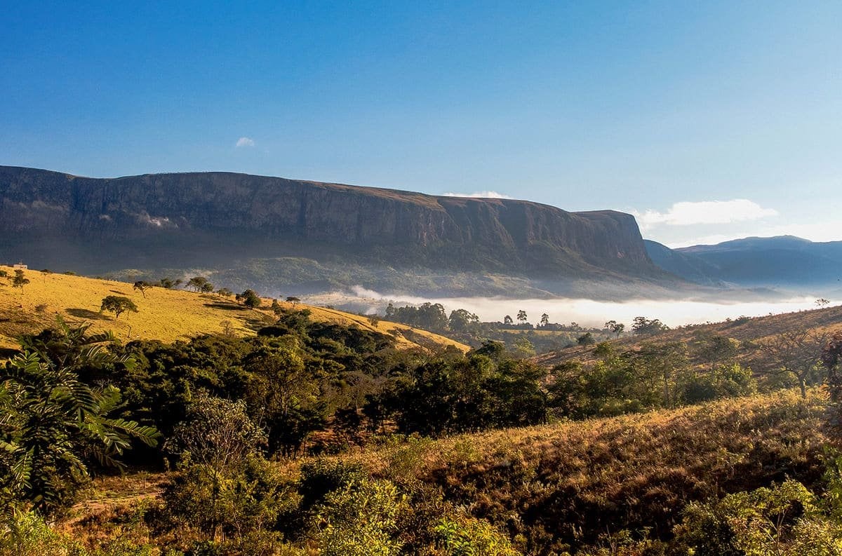Paisagem rural de Minas Gerais com morros suaves e fragmentos de mata