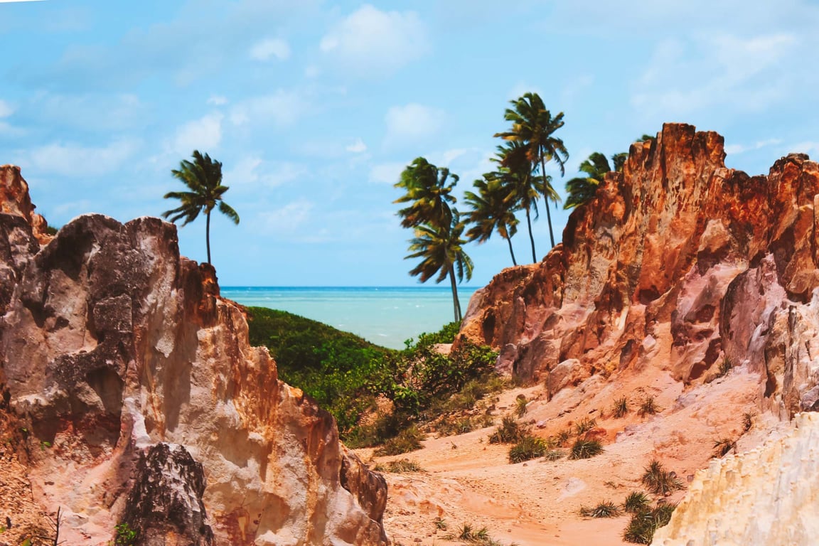 Paisagem do Agreste paraibano com estrada e morros baixos