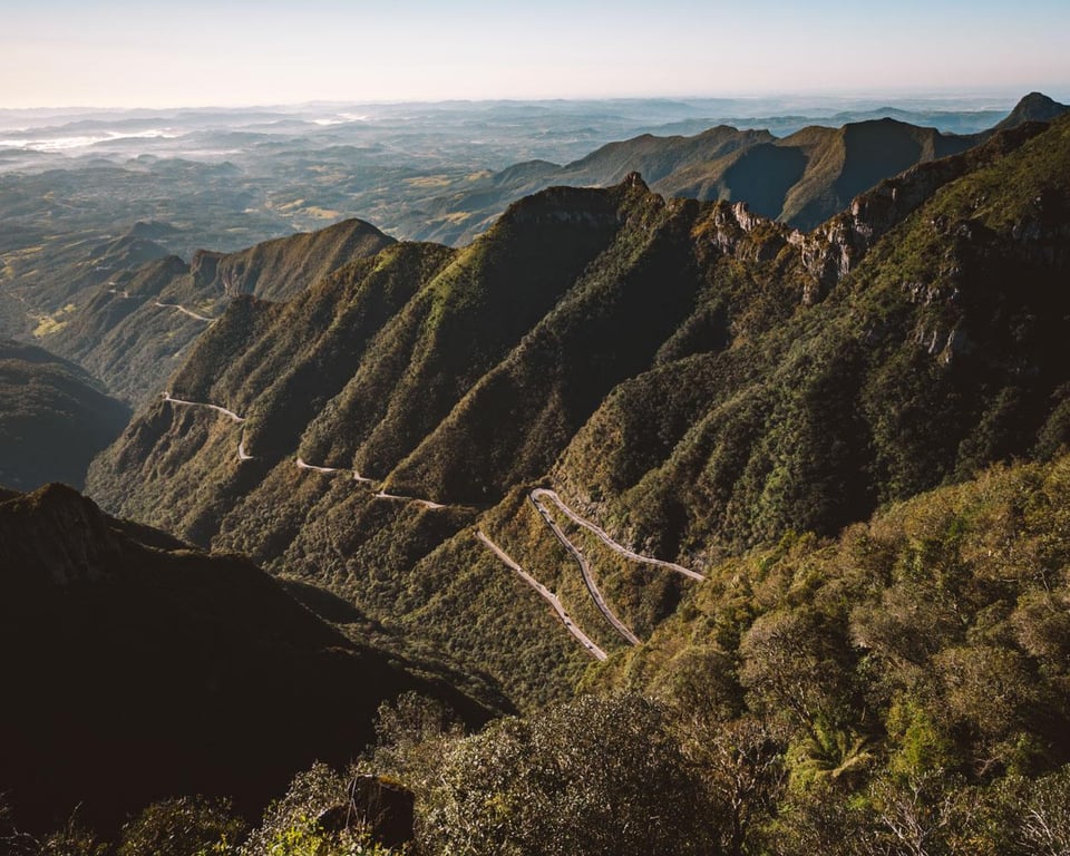 Campos de altitude e araucárias na Serra Catarinense ao entardecer