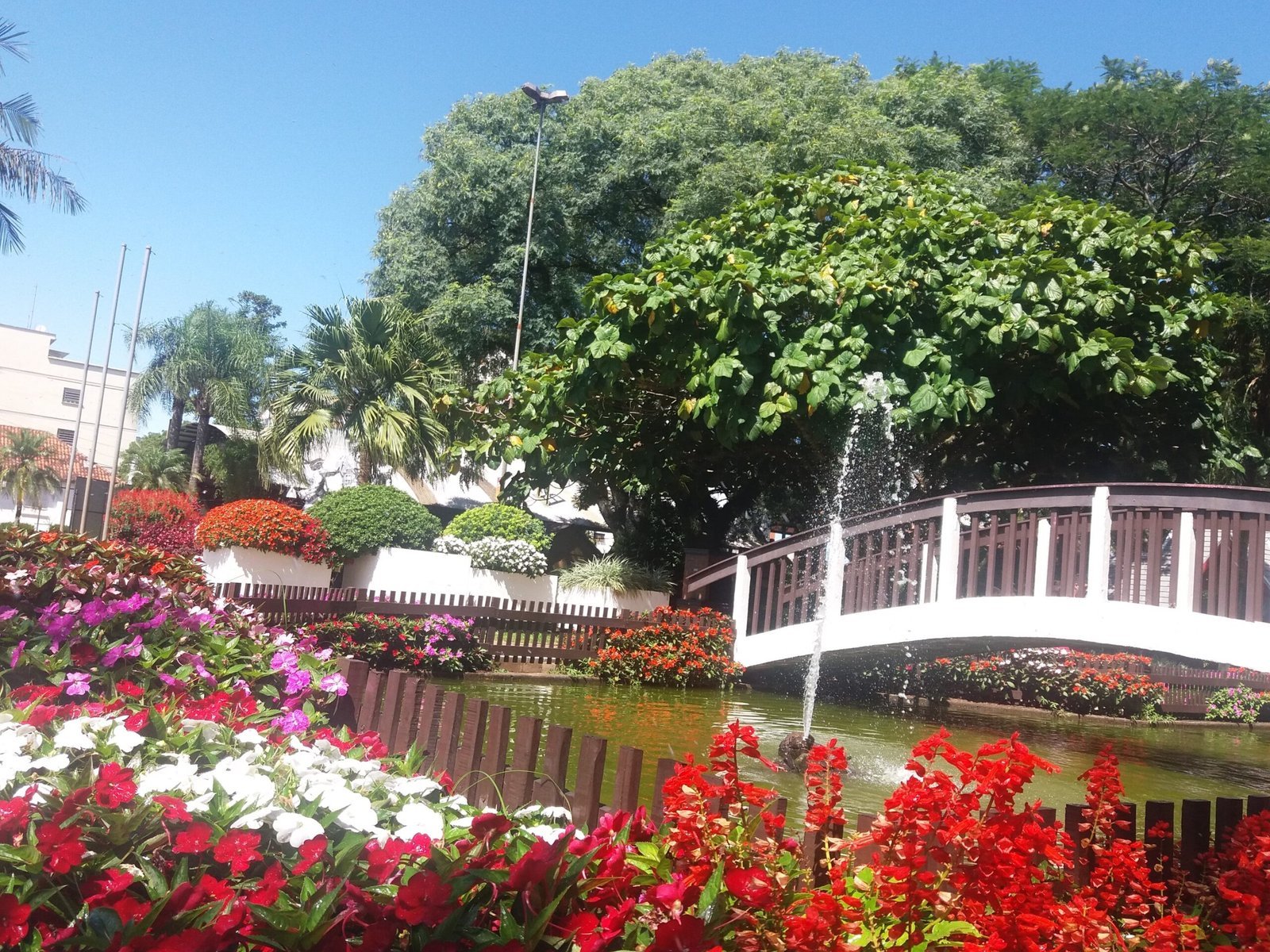 Paisagem verde típica da Encosta da Serra no RS, com jardim florido e ponte sobre lago, em dia ensolarado