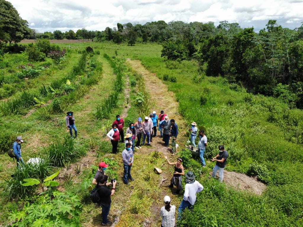 Atividade de campo em agroecologia
