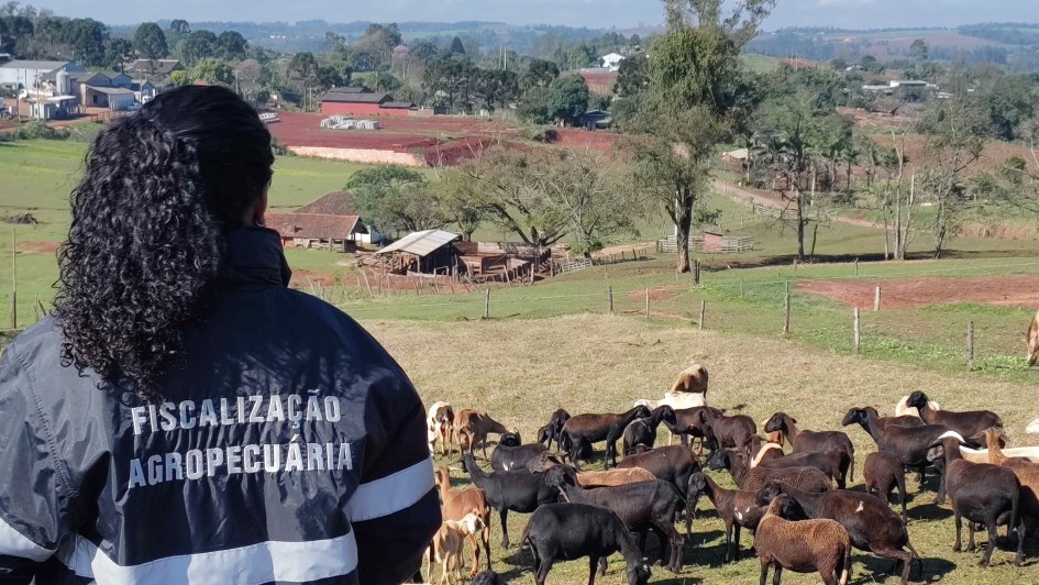 Atuação veterinária no campo, sul do Brasil
