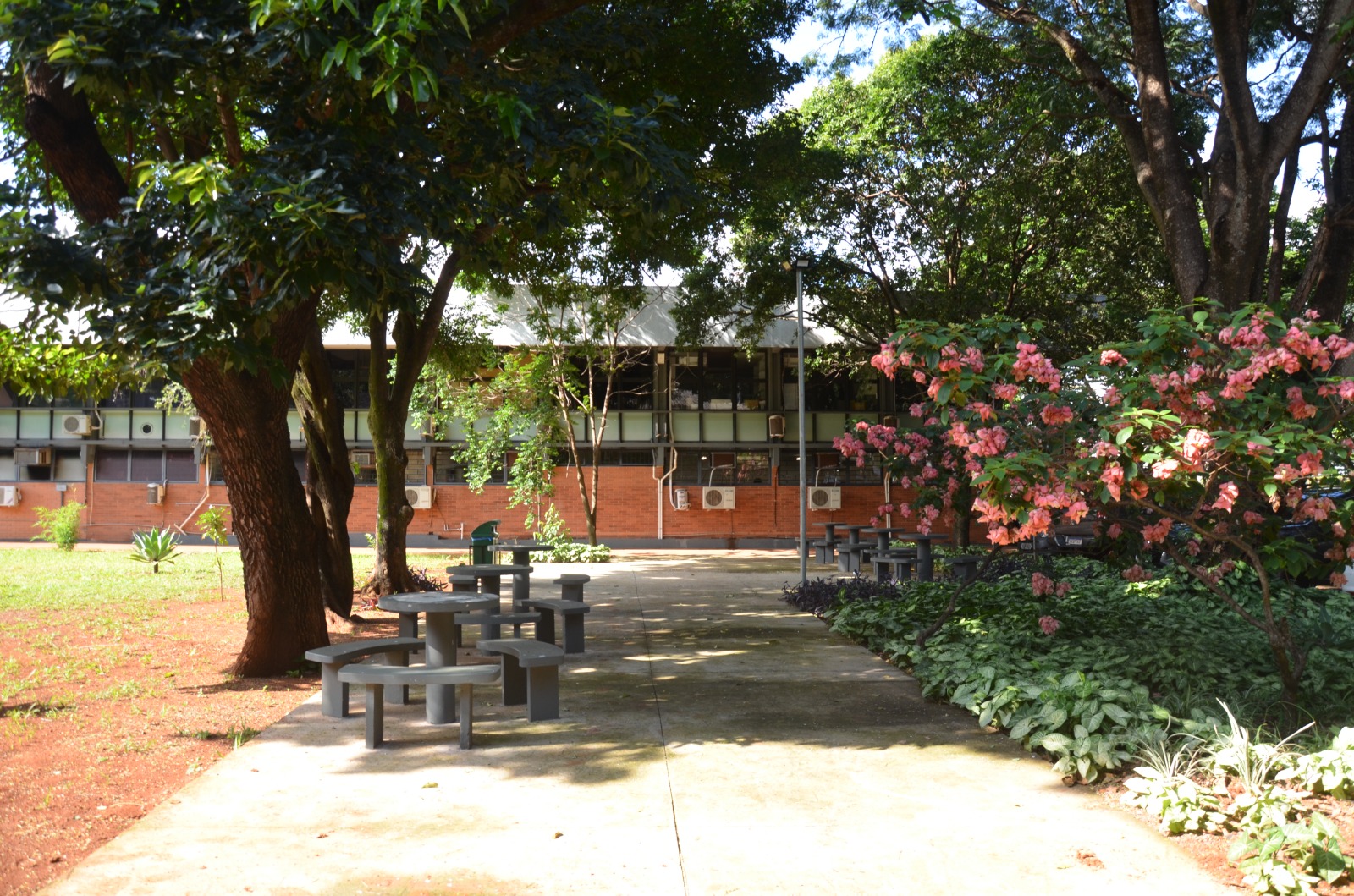 Imagem ilustrativa de campus do Instituto Federal no Nordeste