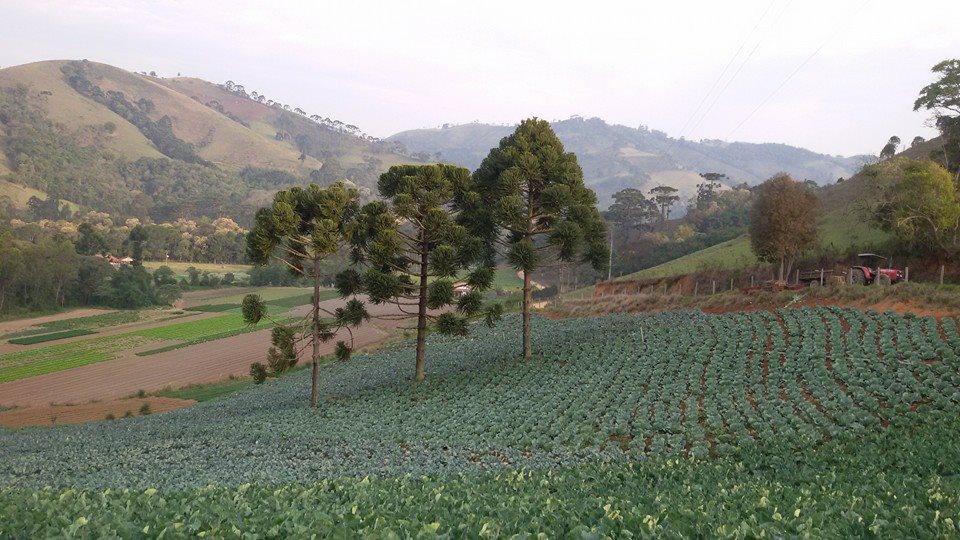 Paisagem do oeste paulista ao entardecer