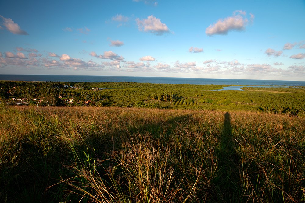 Ambiente costeiro com vegetação e o mar ao fundo, em área natural brasileira de conservação