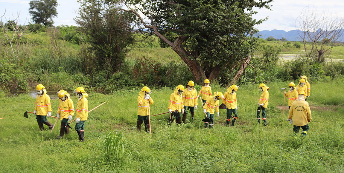 Treinamento de brigadistas em área de caatinga, com ferramentas manuais e equipamentos de combate a incêndio.