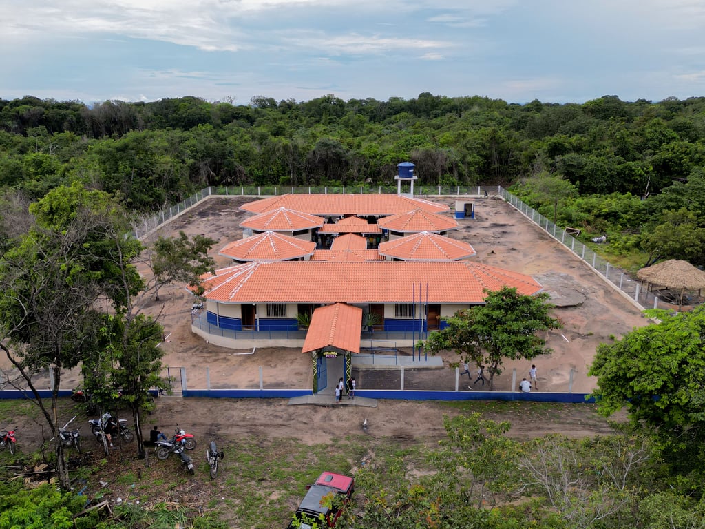 Escola rural cercada por vegetação, em composição horizontal
