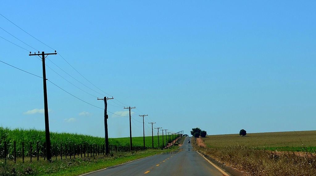 Estrada vicinal com canaviais ao entardecer no interior de São Paulo