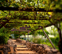 Vinhedos e paisagem no Roteiro do Vinho, cartão-postal de São Roque SP. Crédito: Del Vino Wine Club.