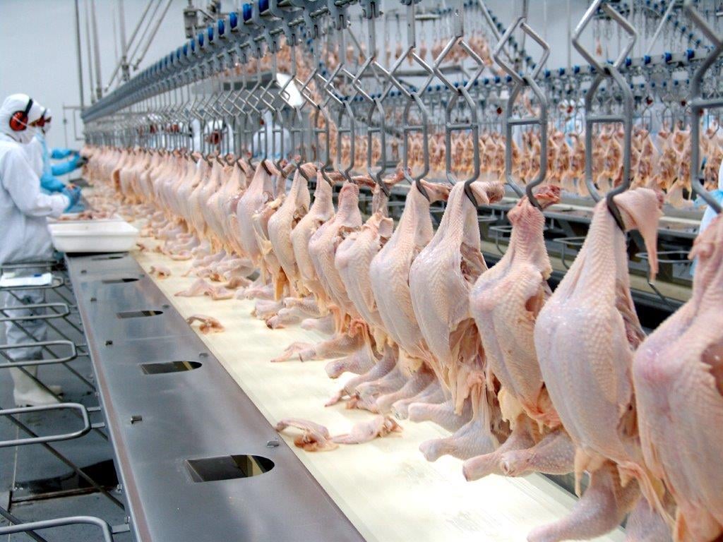 Profissional inspecionando linha de processamento de carne em frigorífico, com foco em segurança de alimentos