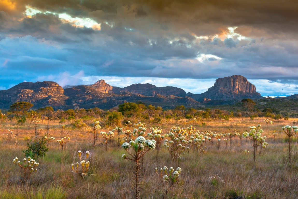 Paisagem do Vale do Jequitinhonha em Minas Gerais, com morros e vegetação nativa ao pôr do sol
