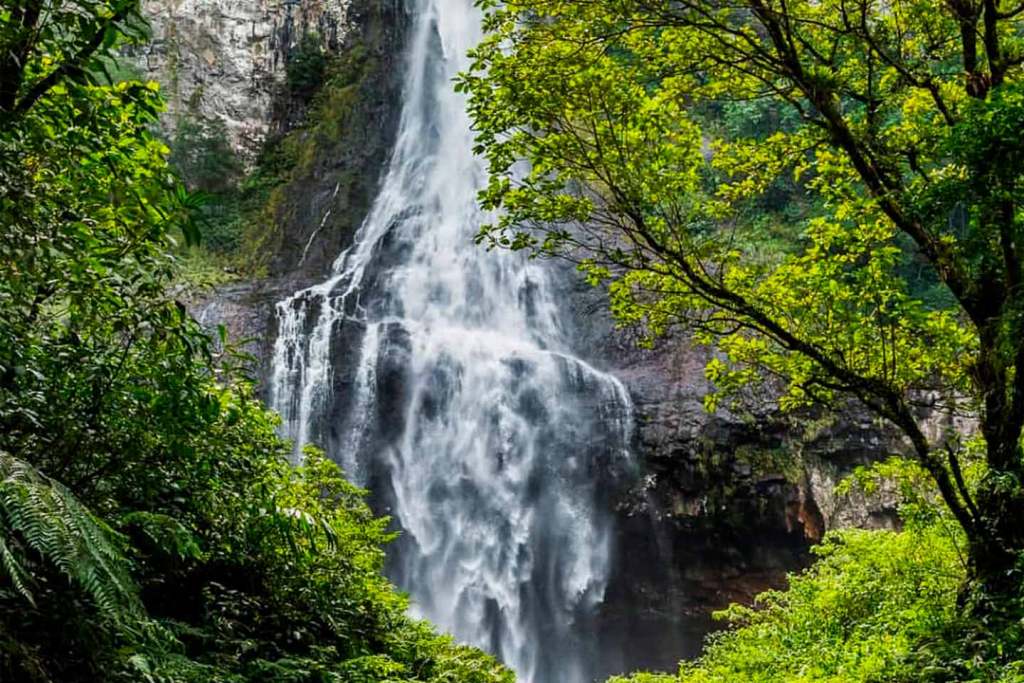Paisagem natural da região de Maquiné RS, com cachoeira cercada por mata atlântica e morros ao fundo