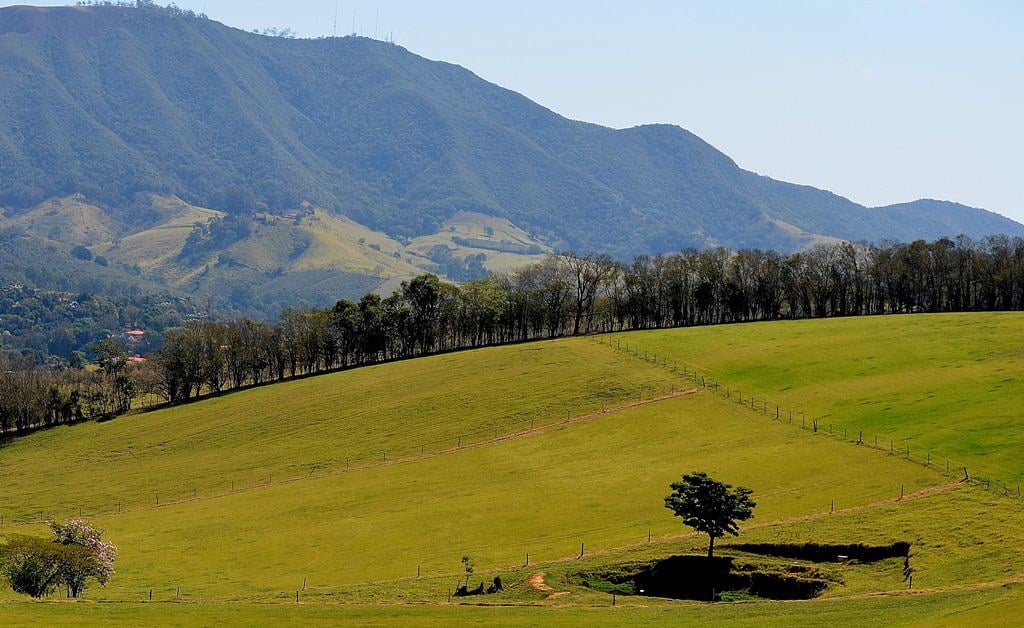 Paisagem rural da Alta Paulista, com campos agrícolas e estrada vicinal