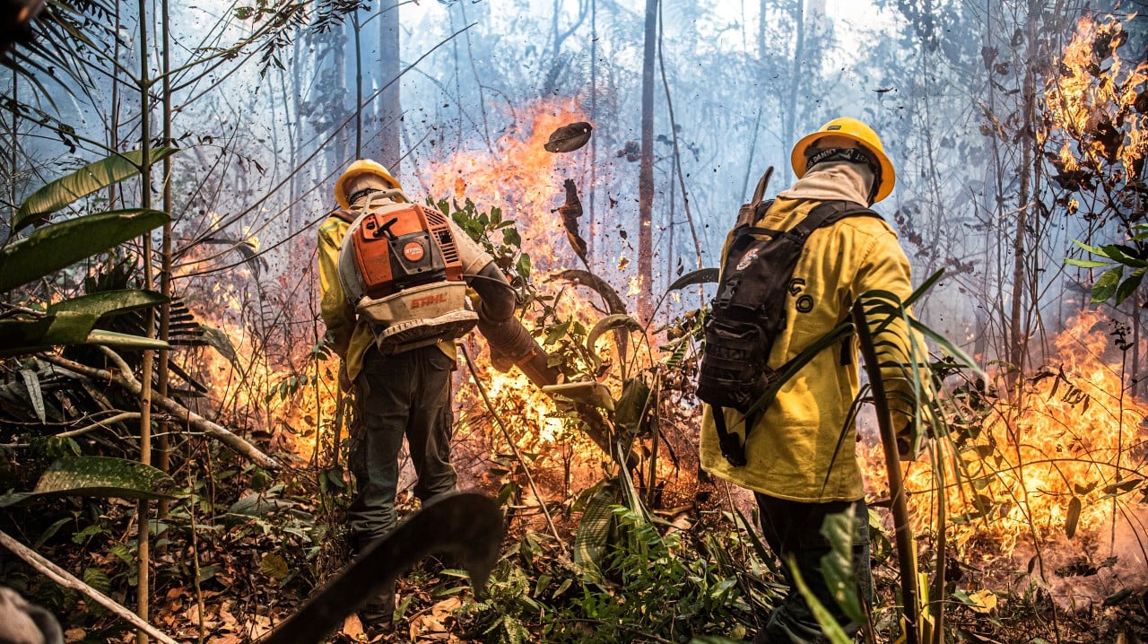 Brigadistas combatendo incêndio em vegetação campestre