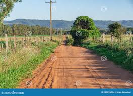 Estrada rural e lavouras no Noroeste do RS