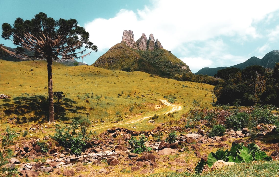 Paisagem do Planalto Sul Catarinense