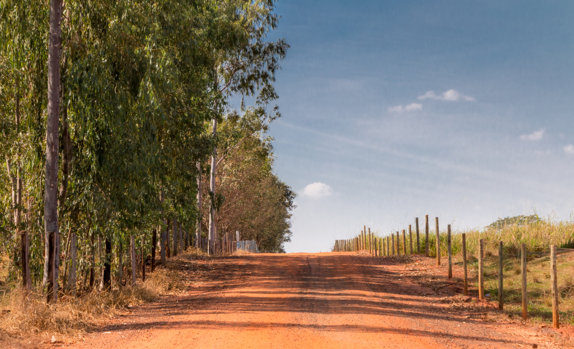Estrada asfaltada no interior paulista, com sinalização e vegetação lateral
